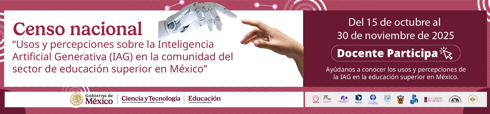Censo Nacional IA Docentes